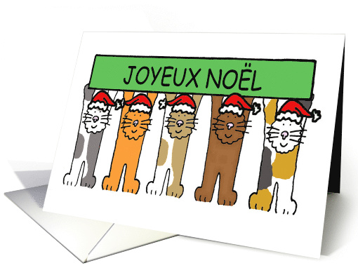 Joyeux Noel Happy Christmas in French Cartoon Cats in Santa Hats card