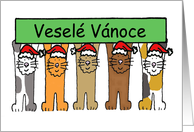 Czech Happy Christmas Cats Wearing Santa Hats Vesele Vanoce card