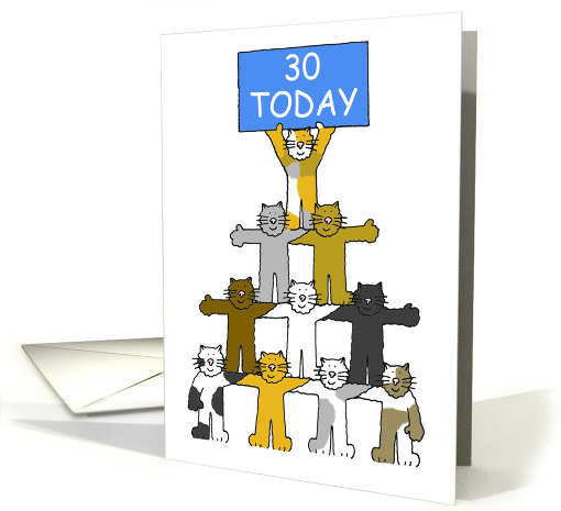 Happy 30th Birthday Cute Cartoon Cats Holding Up a Banner card