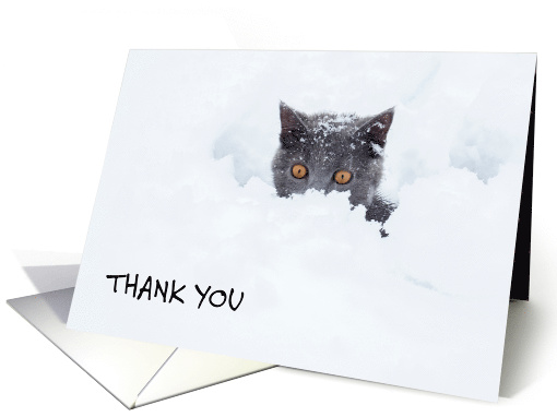 Funny Thank You for Clearing My Snow Grey Cat in a Snowdrift card