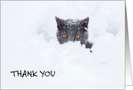 Funny Thank You for Clearing My Snow Grey Cat in a Snowdrift card