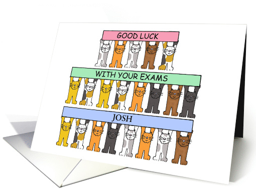 Good Luck with Your Exams Cartoon Cats to Personalize... (1292122)