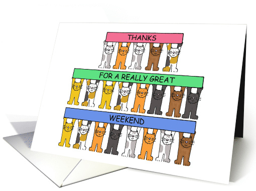 Thanks for a Great Weekend Cartoon Cats Holding Up Banners card