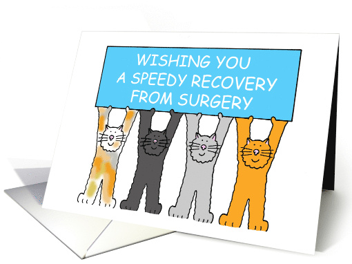 Speedy Recovery From Surgery Cartoon Cats Holding a Banner card