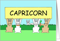 Capricorn Birthday Cartoon Bunnies wth Carrots and a Banner card