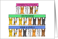 Congratulations On Passing Your A Levels Cartoon Cats Holding Banners card