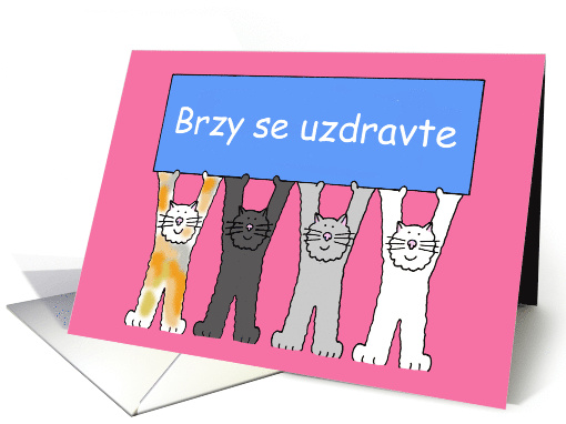 Czech Get Well Soon Brzy se uzdravte Cartoon Cats and a Banner card