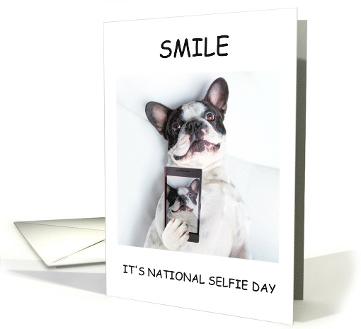 Happy National Selfie Day June 21st French Bulldog Pup... (1438370)