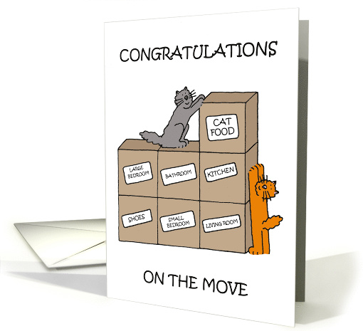 Congratulations on the Move to New Apartment Cute Cartoon Cats card