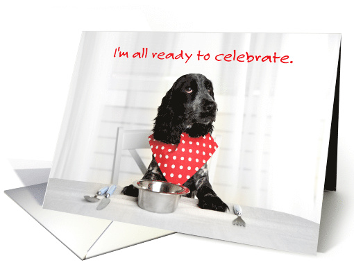 Happy Thanksgiving from Pet Dog Cute Cocker Spaniel at... (1494648)
