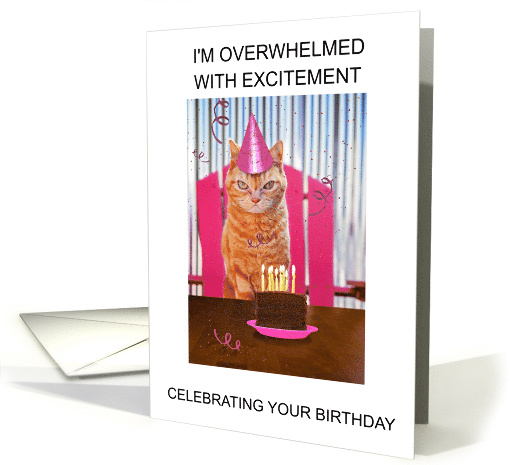 Happy Birthday While You are Away at College from the Cat. card