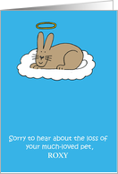 Sympathy On Loss of Pet Rabbit to Personalize with Any Name card