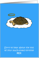 Loss of Pet Tortoise in Heaven with a Halo to Personalize any Name card