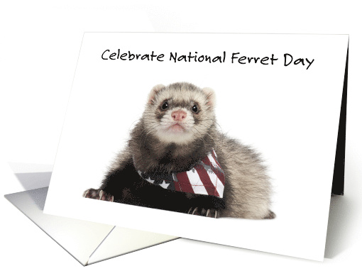 National Ferret Day April 2nd Ferret Wearing USA Necktie card