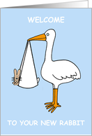 Congratulations on New Pet Rabbit Cartoon Stork and Bunny card