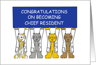 Congratulations on Becoming Chief Resident Cats Wearing White Coats card
