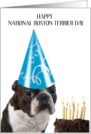 National Boston Terrier Day February 19th Dog in Party Hat with Cake card