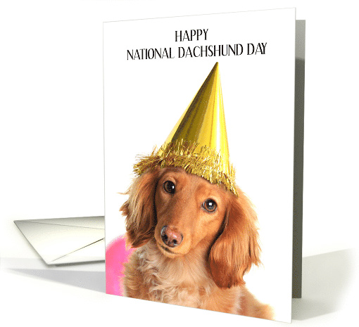 National Dachshund Day June 21st Dog in Party Hat card (1702124)