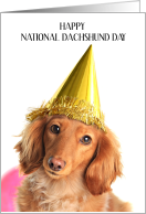 National Dachshund Day June 21st Dog in Party Hat card