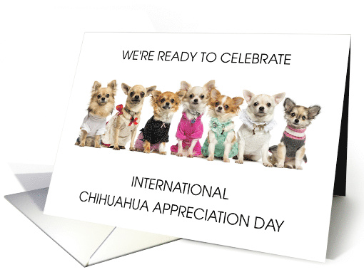 International Chihuahua Appreciation Day May14th card (1703276)