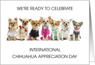 International Chihuahua Appreciation Day May14th card