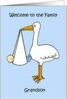 Welcome to the Family Grandson Cartoon Stork and Baby Boy card