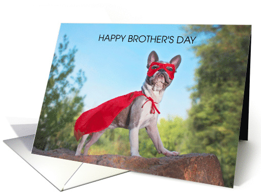 Brother's Day May 23rd Superhero Dog in Mask and Cape card (1735026)