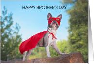 Brother’s Day May 23rd Superhero Dog in Mask and Cape card