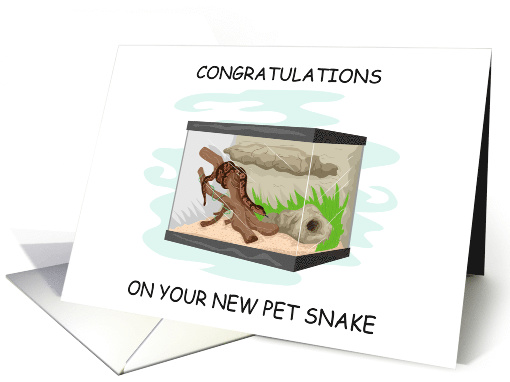 Congratulations New Pet Snake in a Terrarium card (1740974)