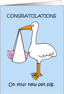 Congratulations New Pet Pig Cartoon Stork Carrying a Piglet card