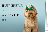 Happy Christmas to Cockapoo Dog Wearing Xmas Tree Glasses card