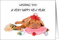 Happy New Year Dogue de Bordeaux Worn Out from Christmas card