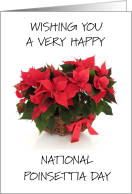 National Poinsettia Day December 12th card