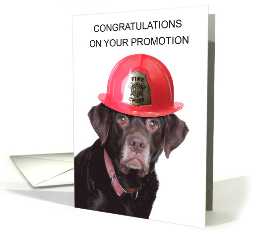 Congratulations on Promotion to Fire Chief card (1830522)