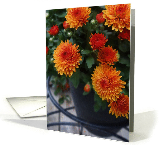 Mums the Word card (1002749)