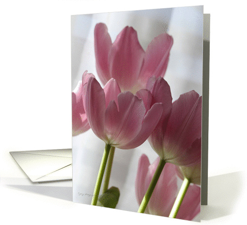 Pink Tulips Birthday card (1219948)