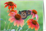 Monarch Butterfly in Coneflower Blank card