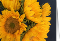 Sunflowers on Black Blank card