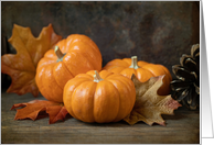 Autumn Pumpkins and Pinecones Blank card