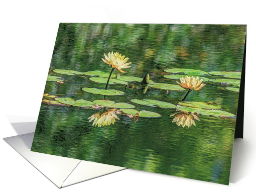 Yellow Waterlily Any Occasion Blank Any Occasion card (1458696)