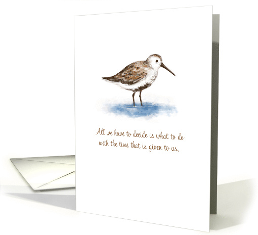 Encouragement, Hopeful Saying with Bird, Blank Inside card (1626360)