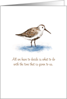 Encouragement, Hopeful Saying with Bird, Blank Inside card