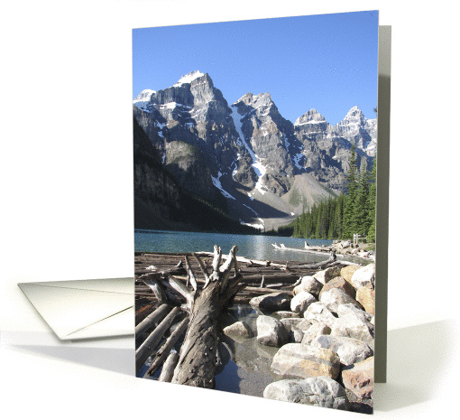 Any Occasion, Blank Note Card, Driftwood and Glaciers card (1037227)