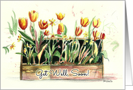 Get Well Soon, Tulips in a Rustic Wooden Box card