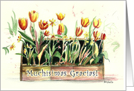 Tulips in a Rustic Wooden Box, Muchsimas Gracias, Espaol (Spanish) card