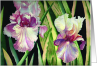 Thank You for All that You Do, Irises in the Sunshine card