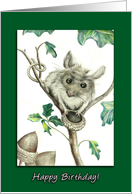 Happy Birthday to My Ex-Husband, Mouse with Empty Acorn Card