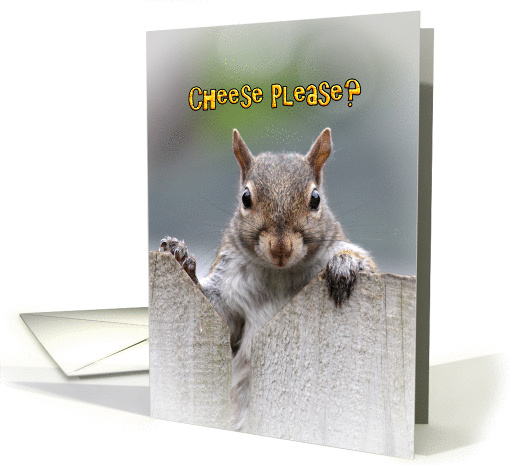 Cheese Please? Squirrel Coming Home Welcome card (1120740)
