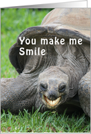 You Make Me Smile Funny Tortoise Thinking of You card
