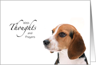 Sympathy - Dog Thoughts and Prayers card